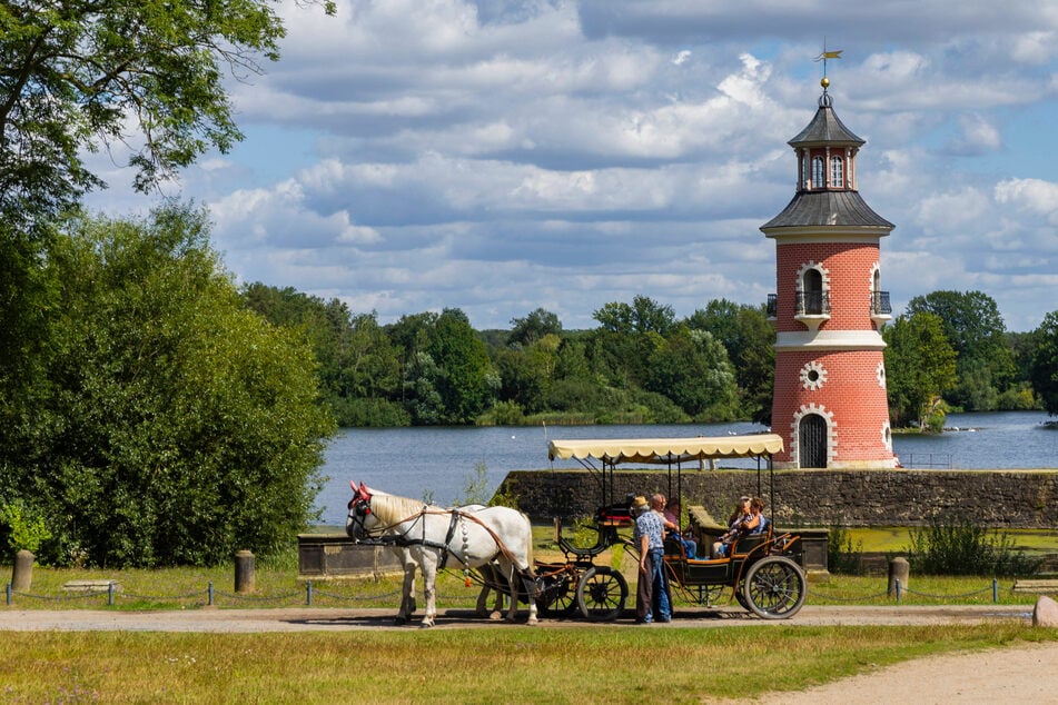 Dresden: Knef-Nachmittag oder offener Leuchtturm: Das könnt Ihr in und um Dresden heute erleben