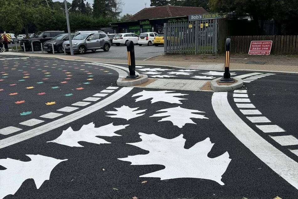 Statt weißer Zebrastreifen gibt es hier weißes Laub. Diese werden aber von der britischen Straßenverkehrsordnung nicht berücksichtigt. Autofahrer müssen hier nicht anhalten.