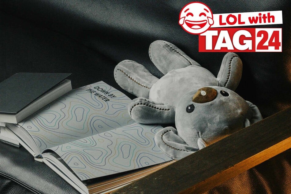 Joke of the Day for January 28, 2026: A beary funny one