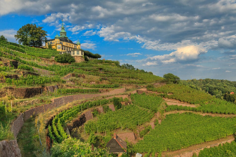 Auch Radebeul werdet Ihr aus der Perspektive von Touristen erkunden können. (Archivfoto)