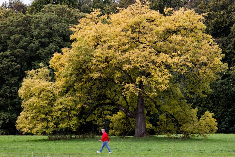 Erst Sommer satt, dann Regen und Abkühlung: So wird das Wetter in NRW