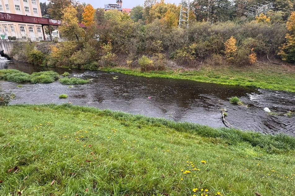 Die gemeldete Einsatzstelle befand sich zwischen der Dürerbrücke und dem Beruflichen Schulzentrum e.o.plauen.