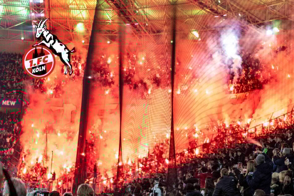 Nächste Geldstrafe für 1. FC Köln! DFB bittet nach Fan-Aussetzer zur Kasse