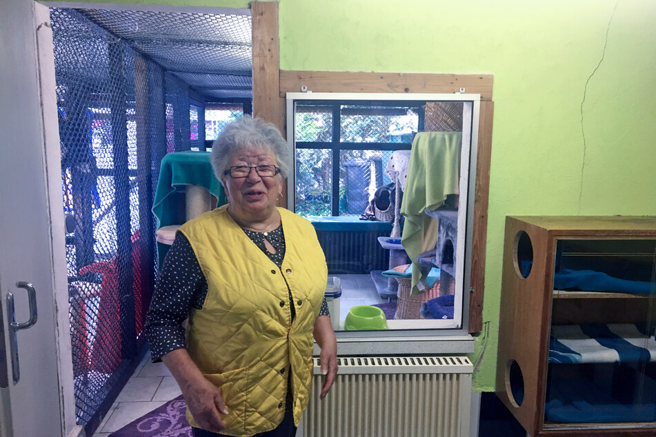Die 81-jährige Helga König päppelt seit Jahrzehnten in Erfurt streunende Katzen auf.