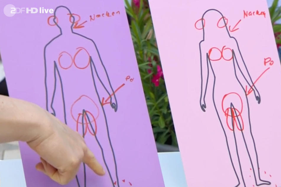 Damit jeder weiß, was gemeint ist, gab es im ZDF-Fernsehgarten eine Schautafel zum Thema "erogene Zonen".