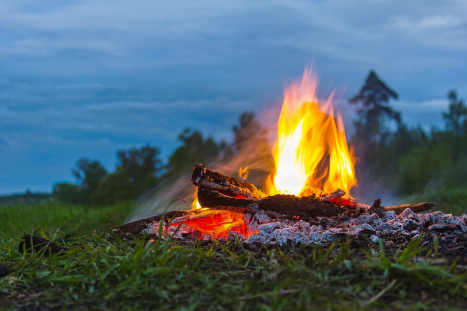 Das Paar hatte ein Feuer im Wald entfacht. Wegen der Waldbrandgefahr sind offene Feuer aber verboten (Symbolbild).