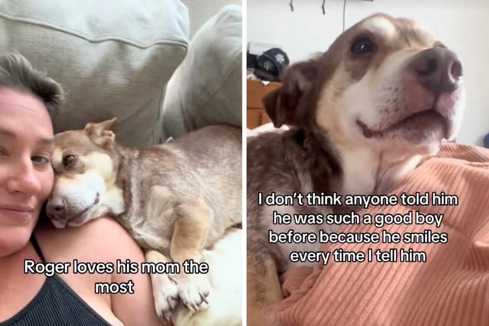 Rescue dog Roger has had a difficult life, and he's still on a long journey towards healing with his beloved mom Brittani Wright.