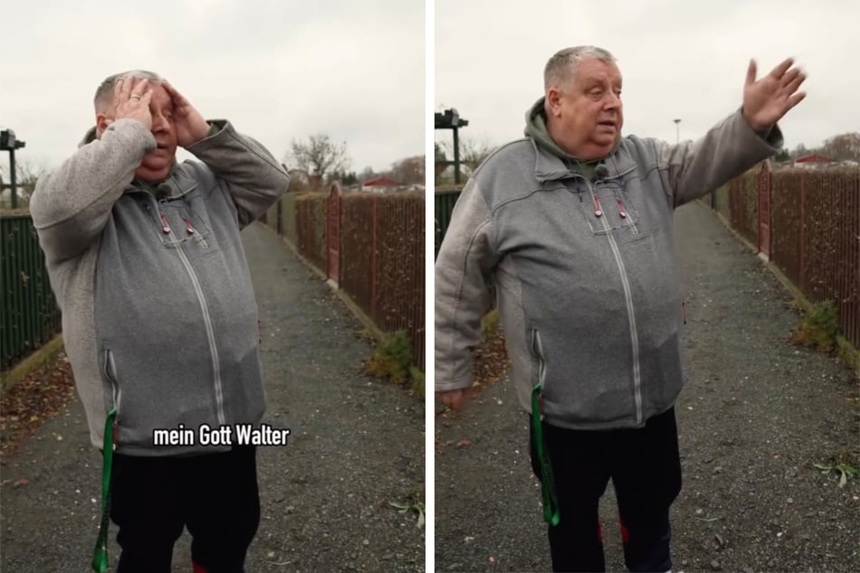 Bei einigen Lauben kann der Kleingartensheriff nur seine Hände über dem Kopf zusammenschlagen.