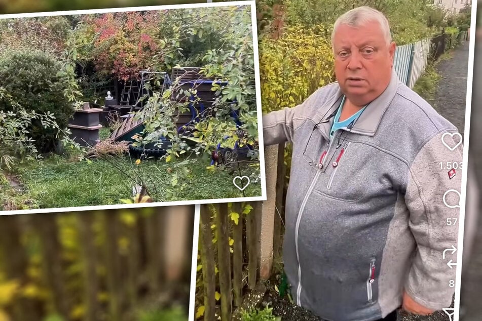 "Platzt mal wieder der Ar***!": Kleingartensheriff muss sich mit faulen Pächtern rumschlagen