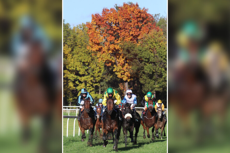 Insgesamt 93 Pferde gehen am Mittwoch in den acht Rennen beim Saison-Halali in Seidnitz an den Start.