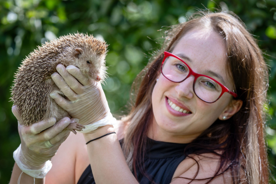 Sandra Kühnert (34) aus Wilkau-Haßlau von den "Stachelnasen" mit dem kranken Igel Karl-Friedrich.