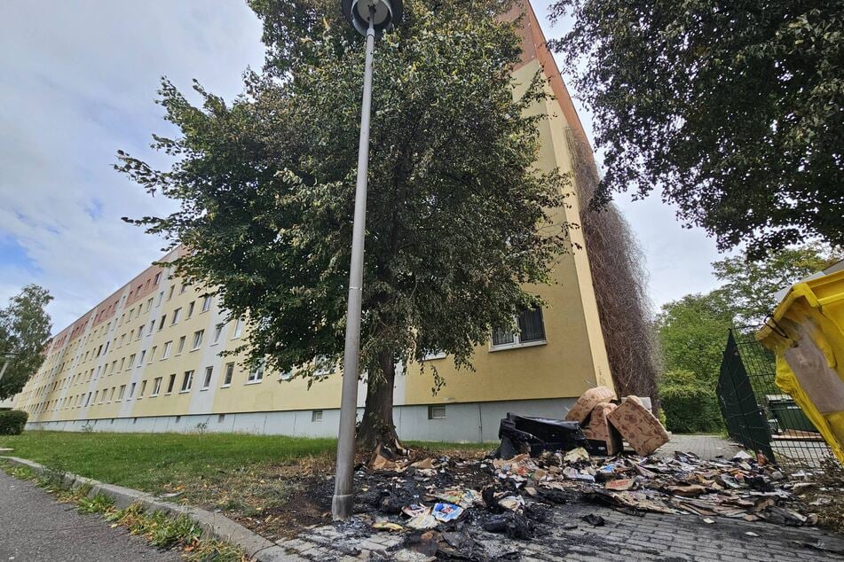 In Grünau brannten am Sonntagnachmittag drei Mülltonnen.