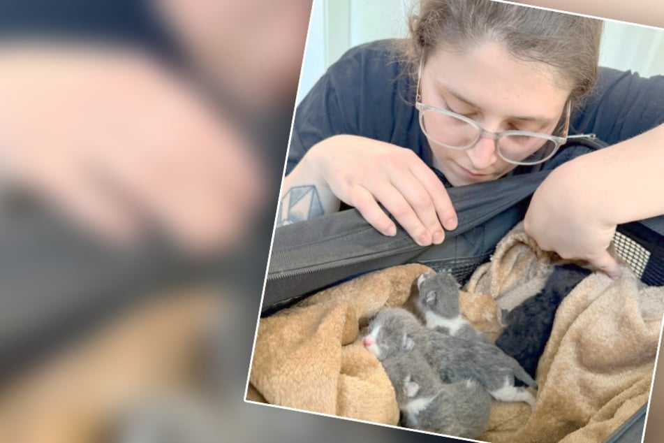 Katze wird während Geburt in Klinik gebracht: Besitzer treffen krasse Entscheidung