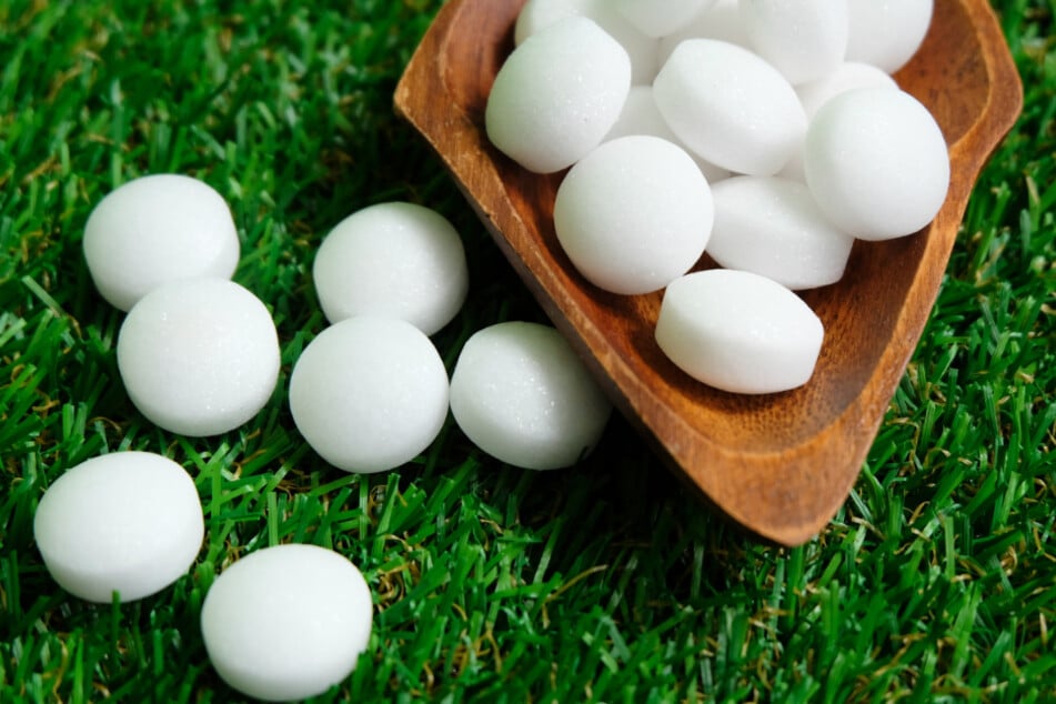 Mothballs can be seriously toxic for dogs.