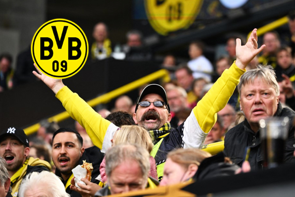 BVB kassiert gellendes Pfeifkonzert! Fans wettern auch in den sozialen Medien: "Schämt euch!"