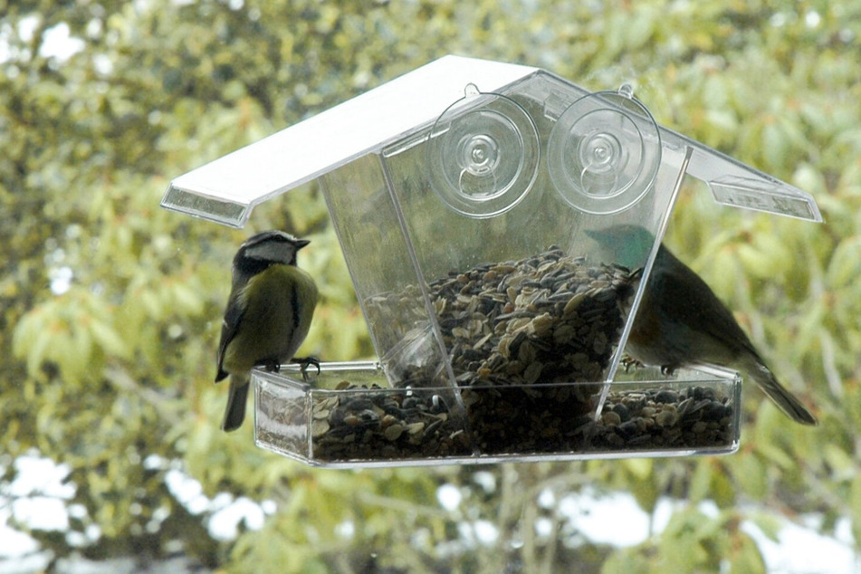 Möchte man die Vögel möglichst nahe beim Futtern beobachten, gibt es ein Vogelfutterhaus fürs Fenster.