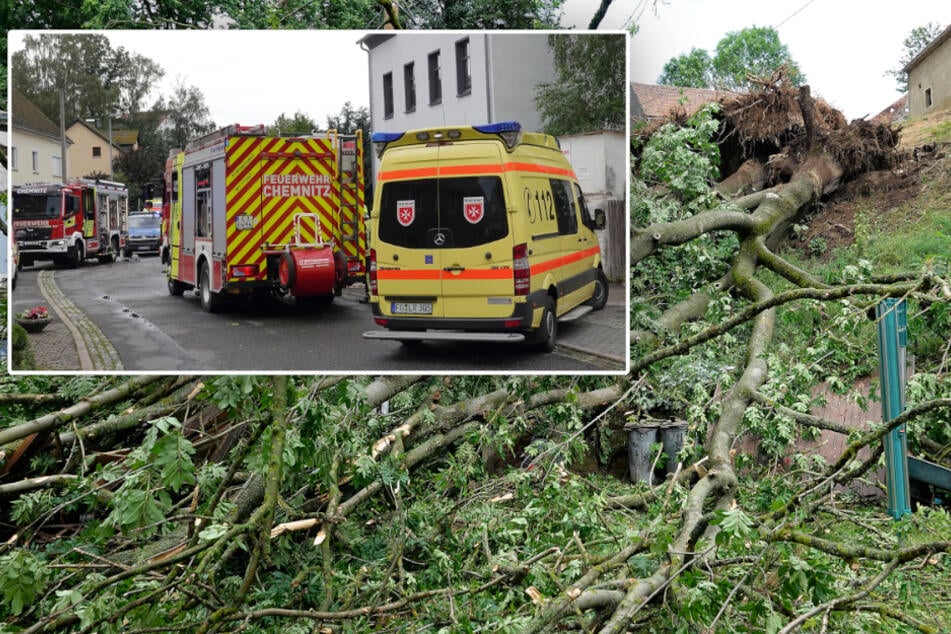 Chemnitz: Unwetter über Chemnitz: Sturm entwurzelt Baum, zwei Verletzte