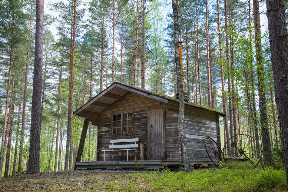 Mehr als 26 Jahre lang wurde die Frau in einer Holzhütte im Wald festgehalten.
