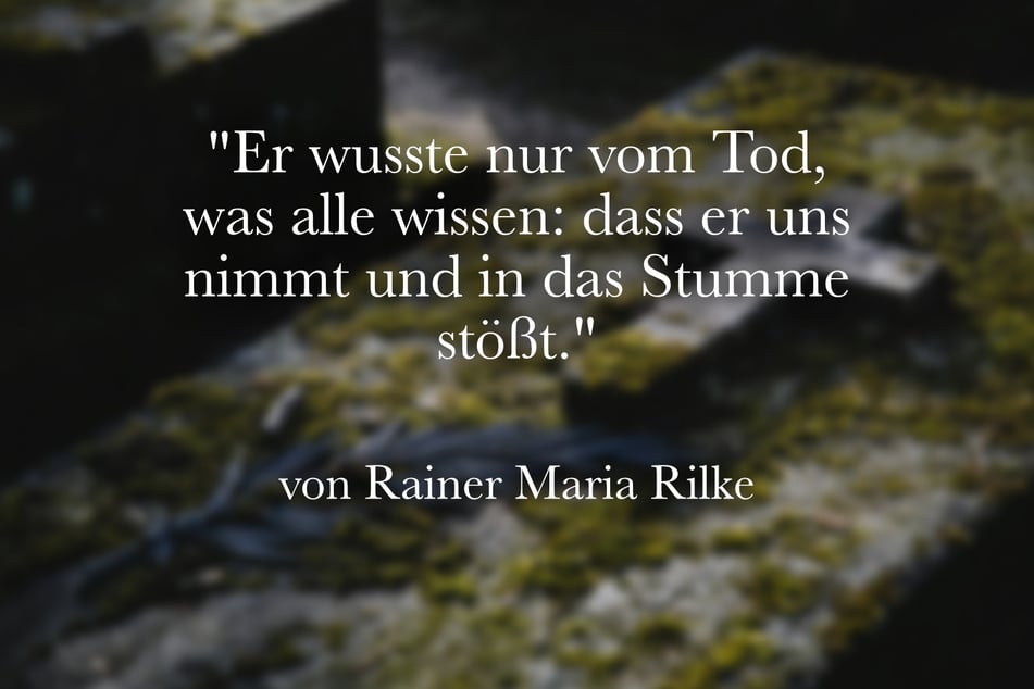 Ein Zitat aus dem Gedicht "Der Tod der Geliebten" von Rainer Maria Rilke.