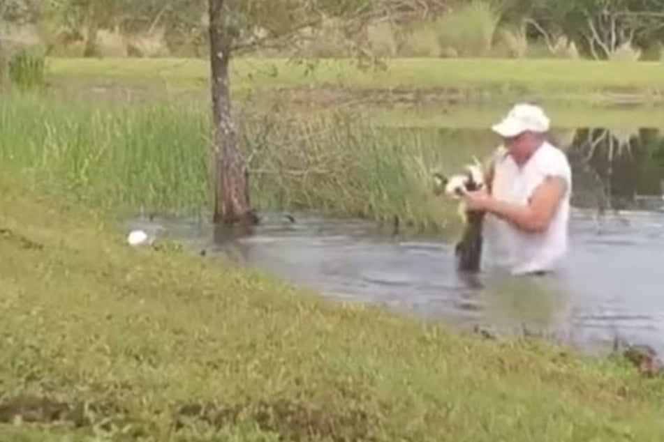 Florida man wrestles alligator to save his puppy's life