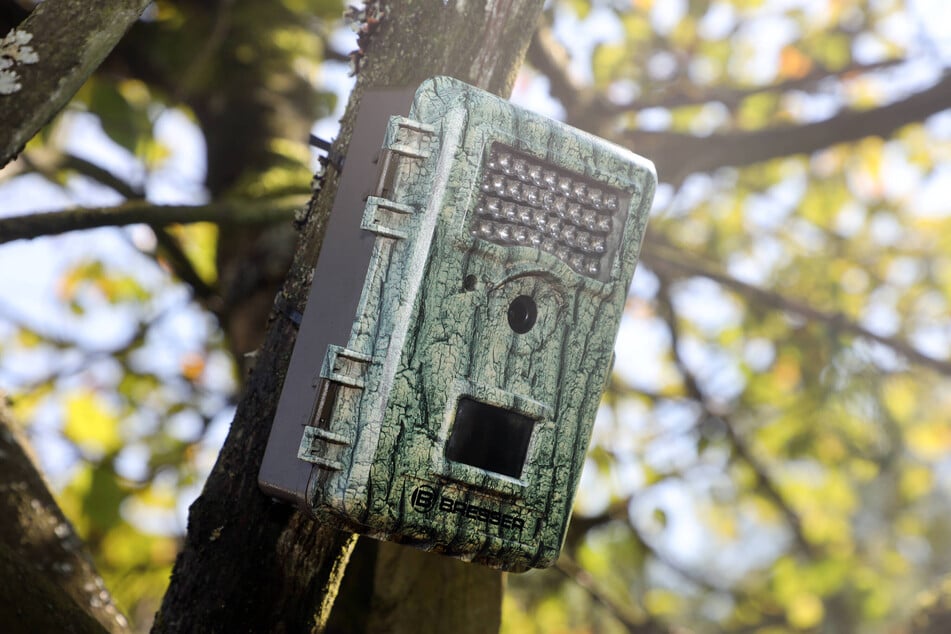 Auch Wildkameras sollen verschwunden sein. (Symbolfoto)