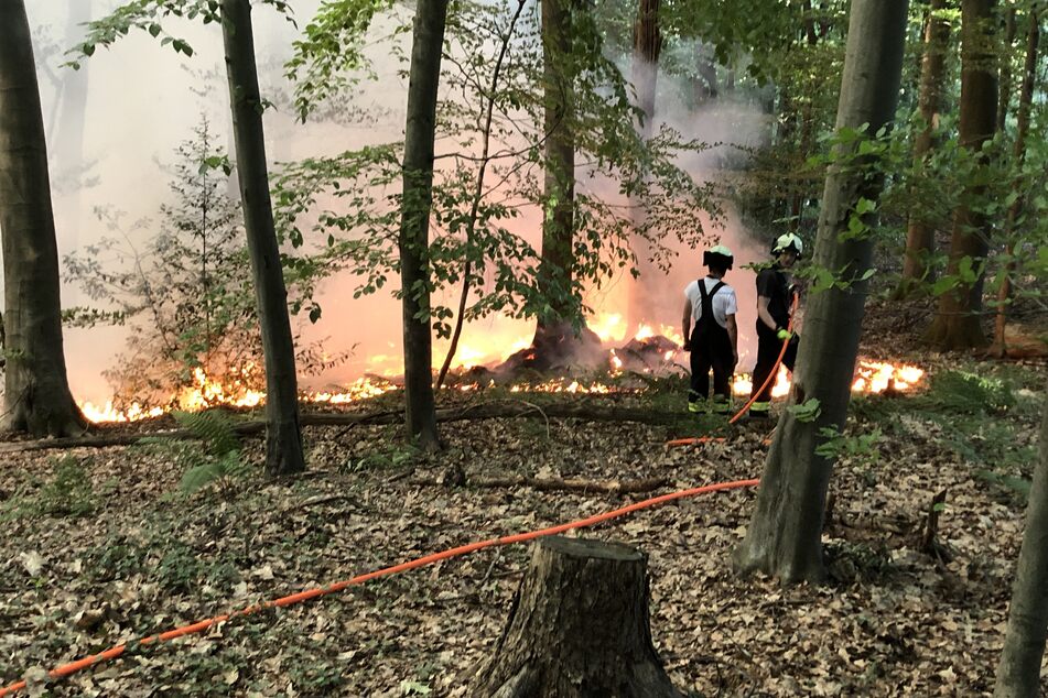 Feuerwehrleute löschten einen Waldbrand in Hennef.