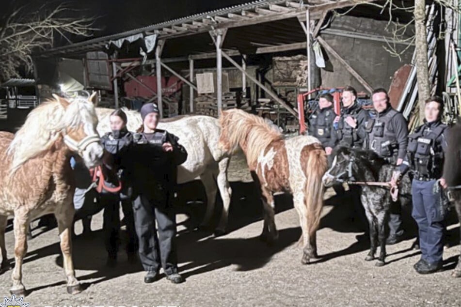 Neun Pferde konnten Einsatzkräfte der Bundespolizei am Mittwochabend einfangen, nachdem sie aus ihrer Koppel ausgebüxt waren.