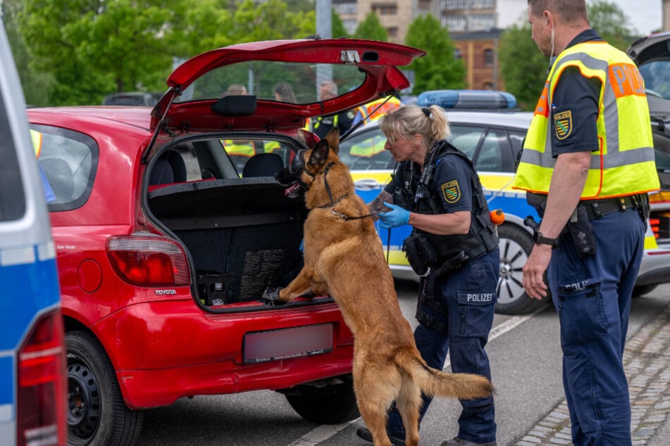 Mehrfach kam am Donnerstag der Drogenspürhund zum Einsatz.