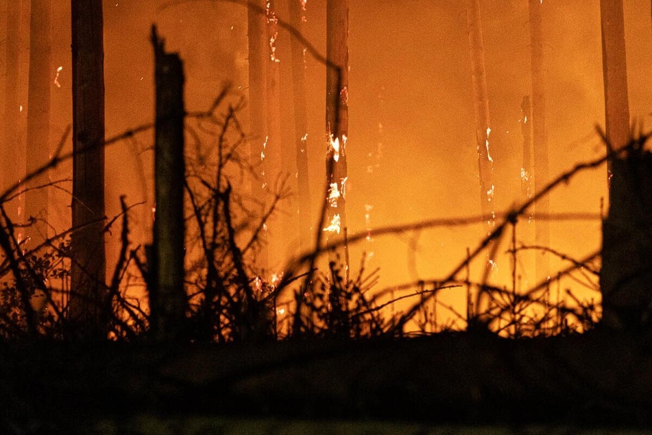 Extreme Trockenheit: So viele Waldbrände gab es im Sommer in Hessen