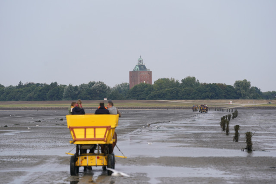 Wattwagen fahren auf die Nordsee-Insel Neuwerk. Auf der kleinen Insel vor Cuxhaven, die Teil des Bezirks Hamburg-Mitte ist, leben 21 Menschen.