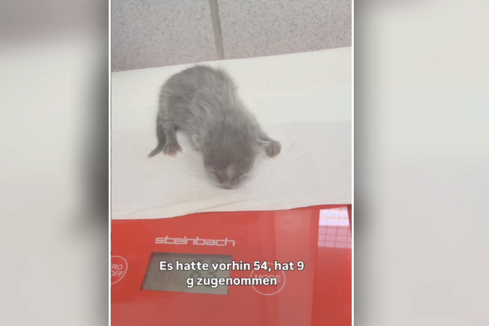 Gerade einmal 54 Gramm hat das Kleinste der Babys auf die Waage gebracht.