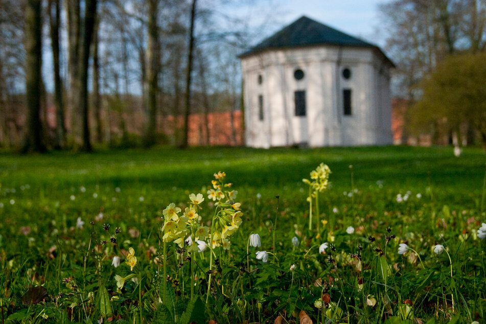 Beschaulich: der Klosterpark Altzella.
