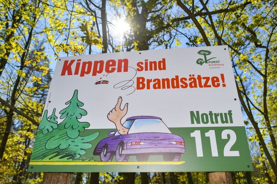 Das trockene und heiße Sommerwetter sorgt in einigen Regionen für erhöhte Waldbrandgefahr. (Archivfoto)