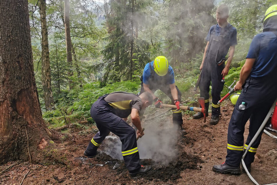 Nach einem anstrengenden Aufstieg löschten die freiwilligen Kameraden von Bad Schandau die versteckte, illegale Feuerstelle.