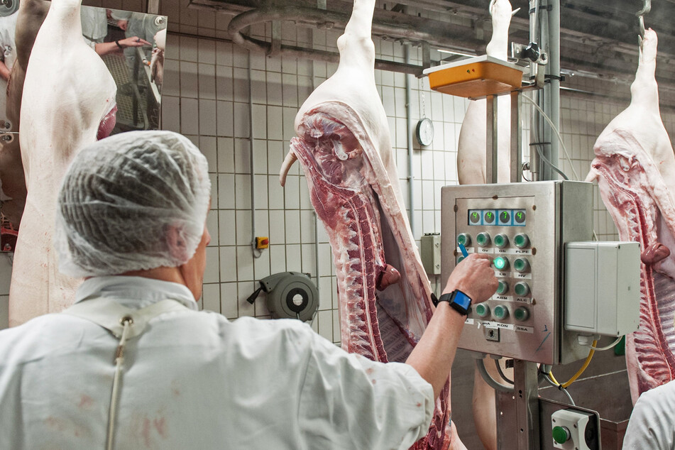 Ein Arbeiter bedient eine Maschine in einem Fleischereibetrieb. Arbeitsschutz-Kontrolleure haben im vergangenen Jahr in NRW Hunderte Unterkünfte von Werkvertragsbeschäftigten überprüft. (Archivbild)