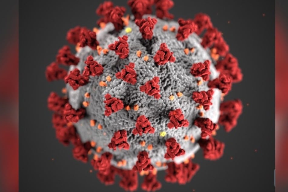 Beate Bahner hält die Verordnungen im Zuge der Coronavirus-Pandemie für verfassungswidrig.