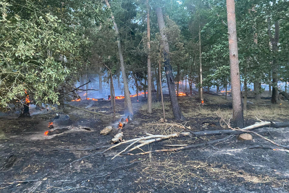 Der Feldbrand ist bereits unter Kontrolle, das Feuer auf der Waldfläche noch nicht.