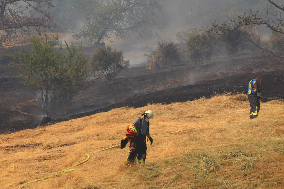 In Gaggenau kam es am Dienstag zu einem Flächenbrand.