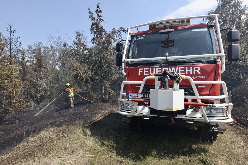 Auch im Harz musste die Feuerwehr diesen Sommer schon zu einem Waldbrand anrücken.