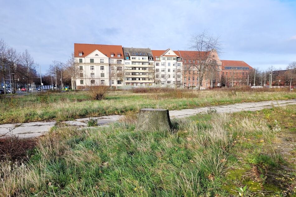 Am 19. Februar 2024 wurde eine beliebte Grünanlage in der Straße des 18. Oktober/Ecke Johannisallee dem Erdboden gleichgemacht. Zwischen den vorhanden Hochhäusern staut sich im Sommer die Hitze.