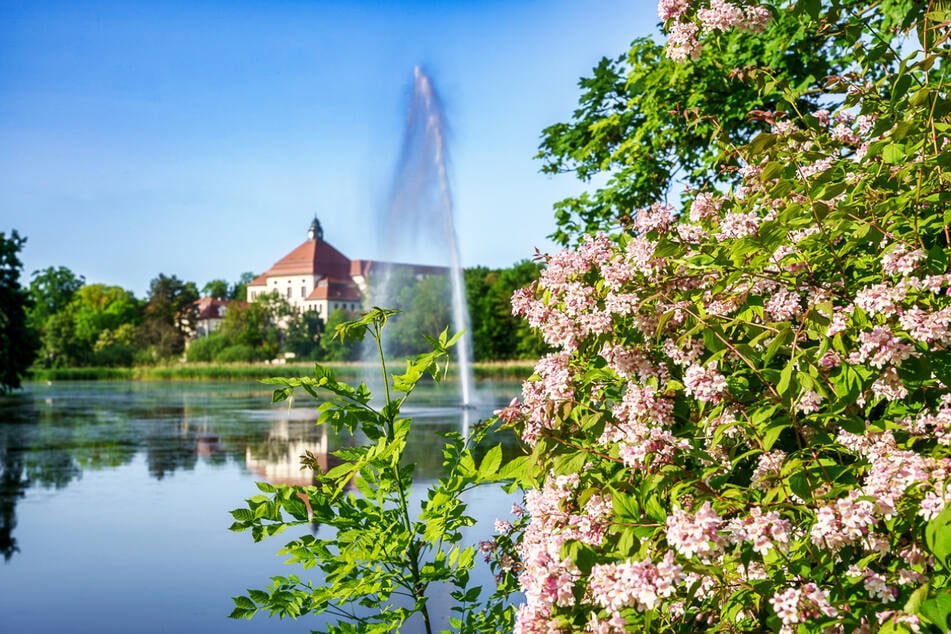 Nächster Familienausflug? Wir haben da einen Tipp...