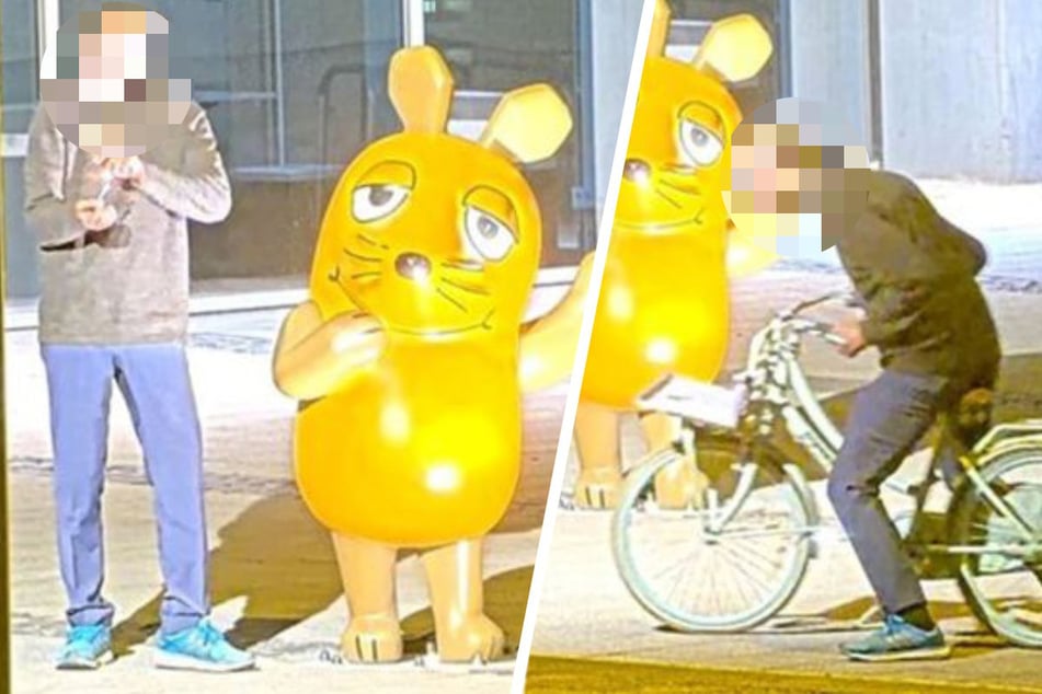 Mit diesen Fotos sucht die Polizei nach dem Maus-Brandstifter.