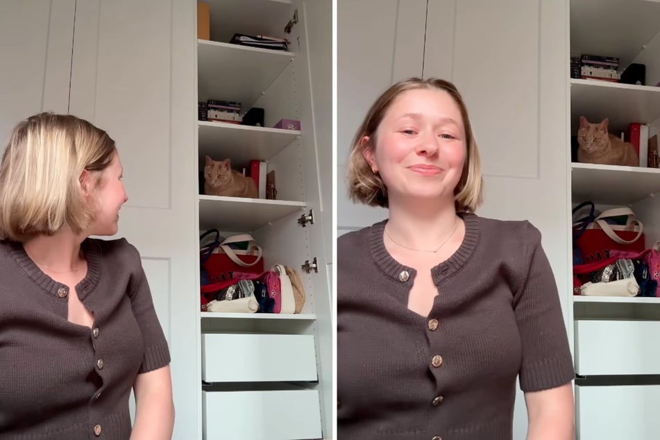 Kater "Clancy" hatte das neue Möbelstück derart gestresst, dass er einen Harnwegsverschluss erlitt und in eine Tierklinik gebracht werden musste.