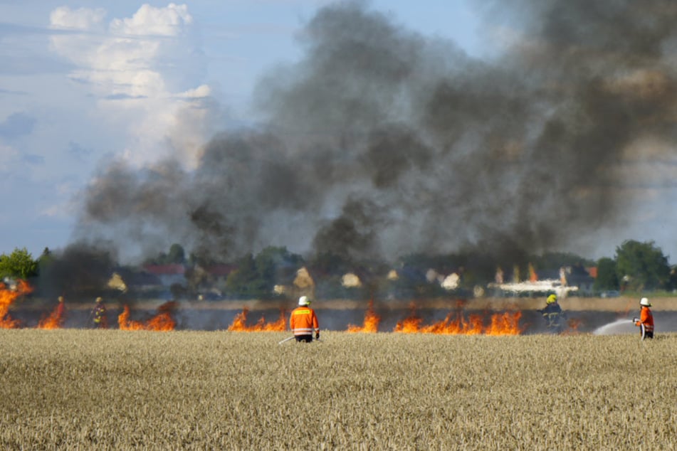 Die Einsatzkräfte brachten die Flammen unter Kontrolle.