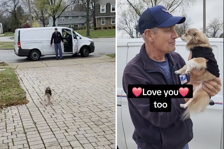 Letter carrier Dan and the four-legged friend are one heart and one soul.