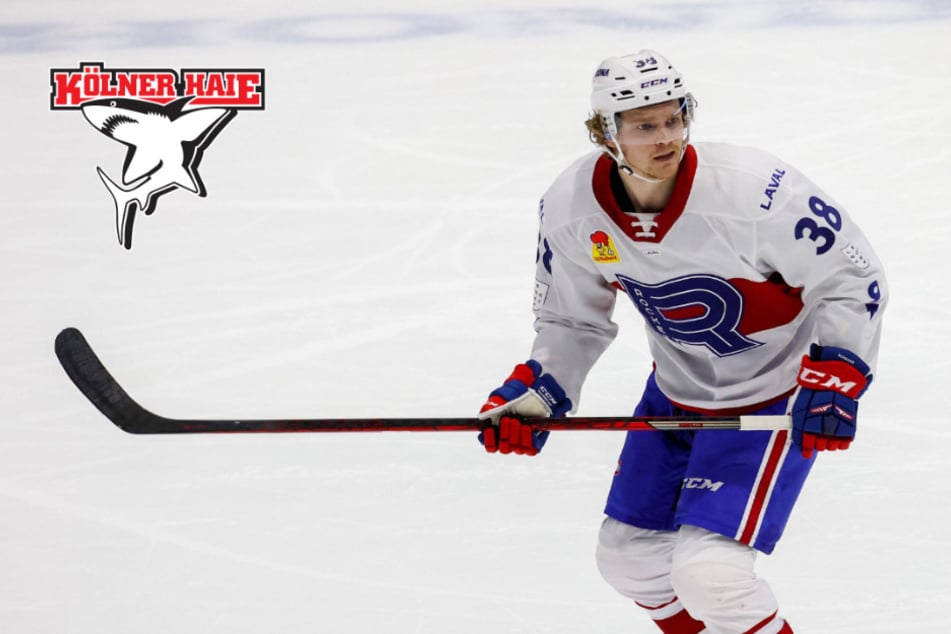 Transfer perfekt! Kölner Haie angeln sich Center aus Finnland