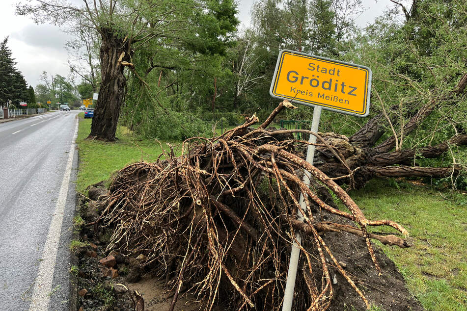Ein umgestürzter Baum hat das Ortsschild von Gröditz umgerissen.