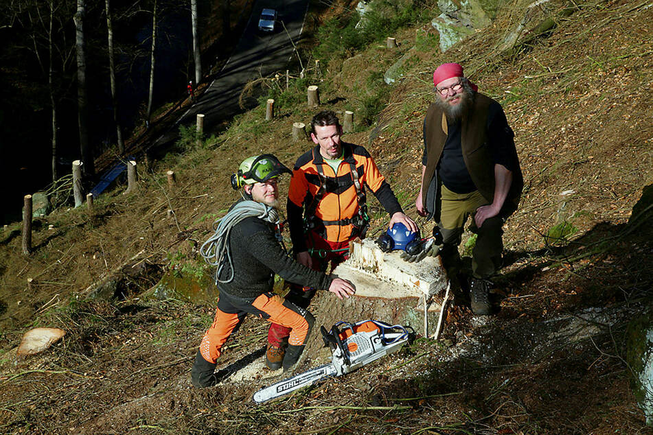 Steffen Knorre, Dirk Rimbus und Tim Dietze (v.r.) beräumen den steilen Hang von den kaputten Fichten.