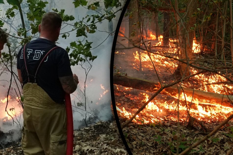 Dresden: Feuer in der Dresdner Heide: Löscharbeiten gehen am Dienstag weiter