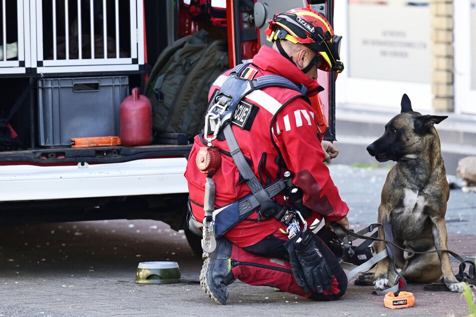 Spürhunde sind im Einsatz, sollen in den Trümmern nach weiteren Opfern suchen.